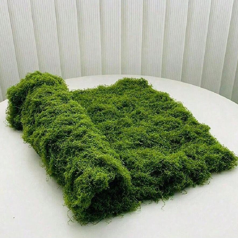 Sphagnum Moss Dry - 1*1m musgo falso manualidades DIY hierba