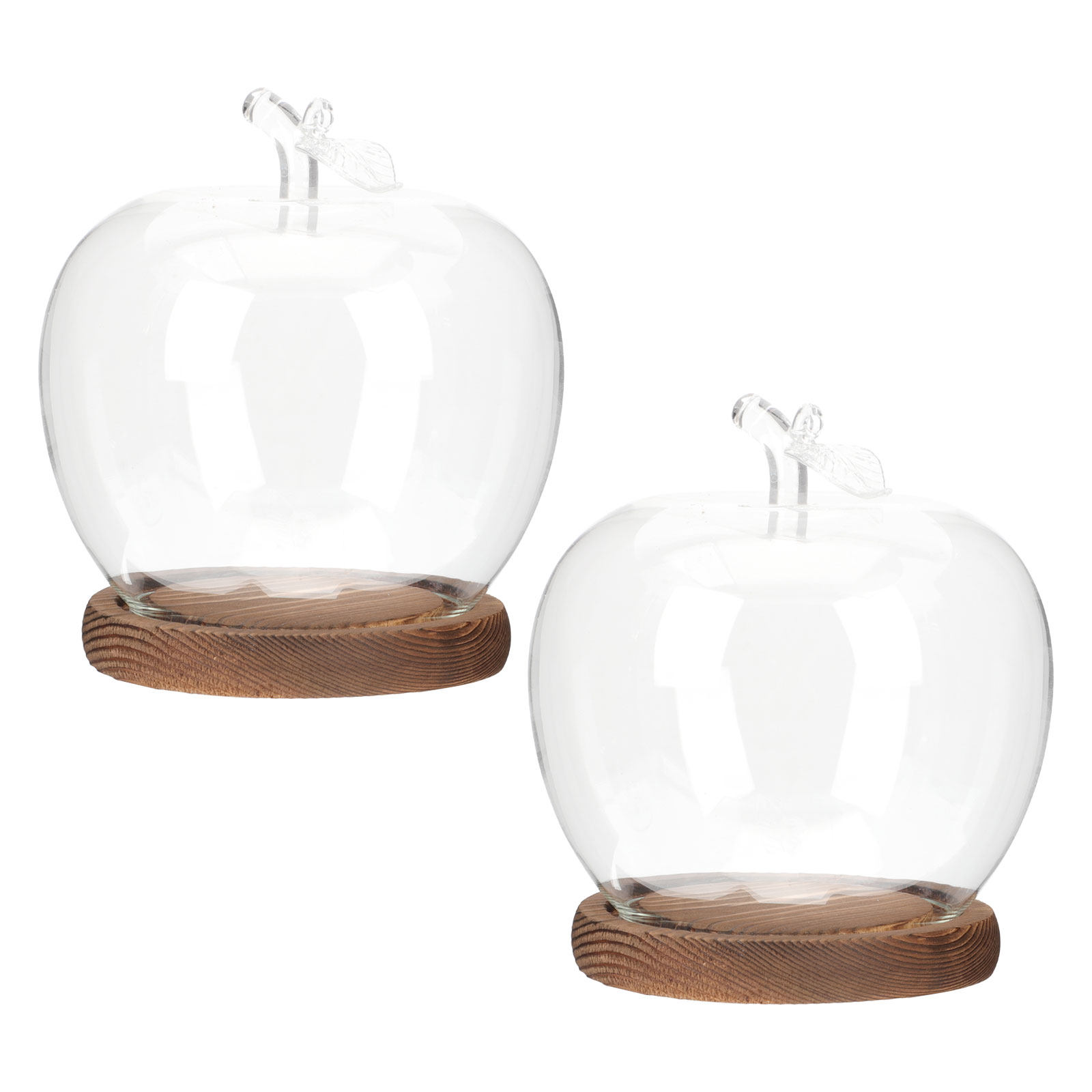 Plastic Dome Clear - 2 piezas de cúpula de cristal