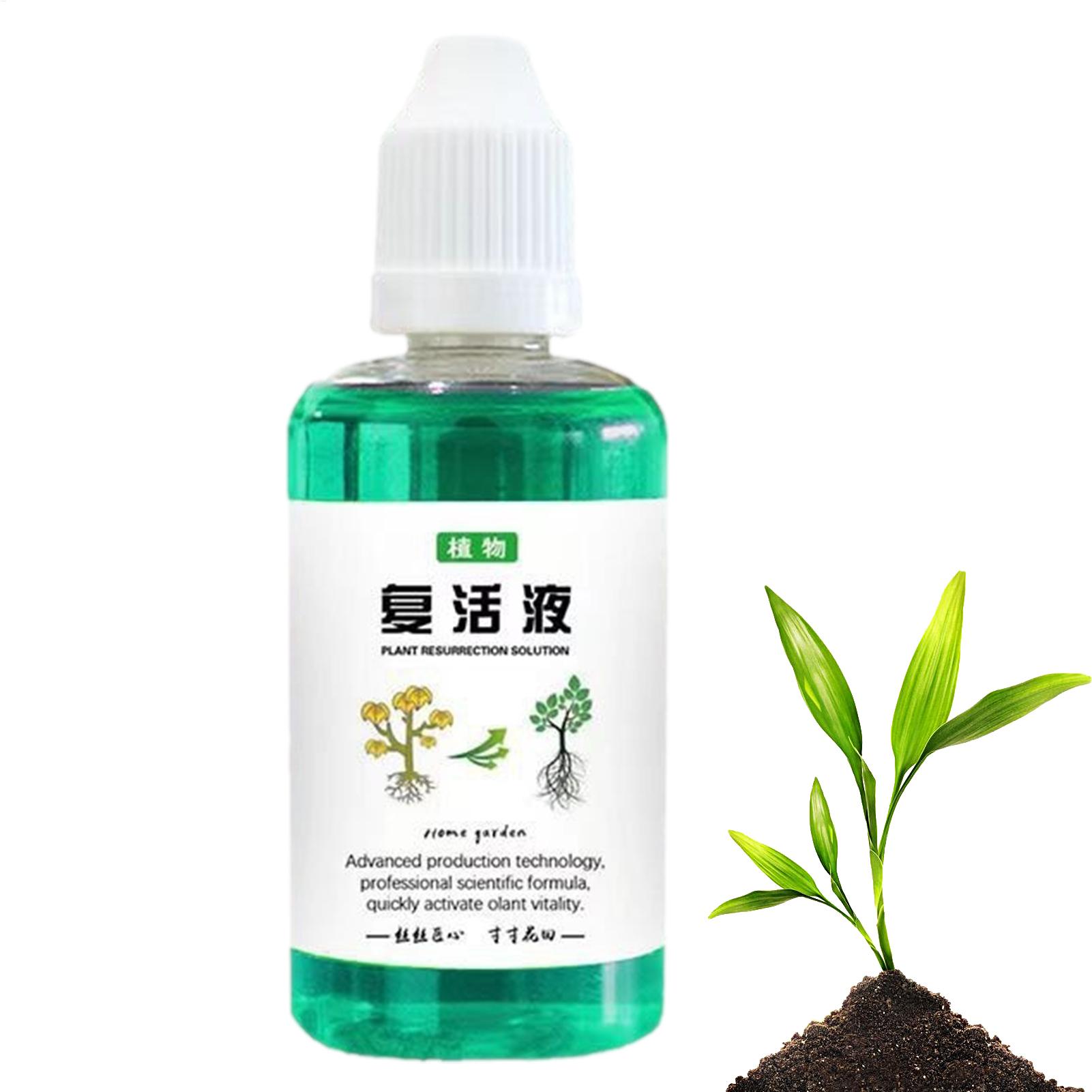 Estimulador de Raíces de 50 ml - Root Stimulator Liquid reseña y precio