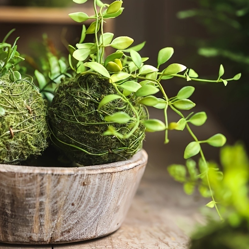 Maceta con Bola de Musgo Artif - Sphagnum Moss Dry reseña y precio