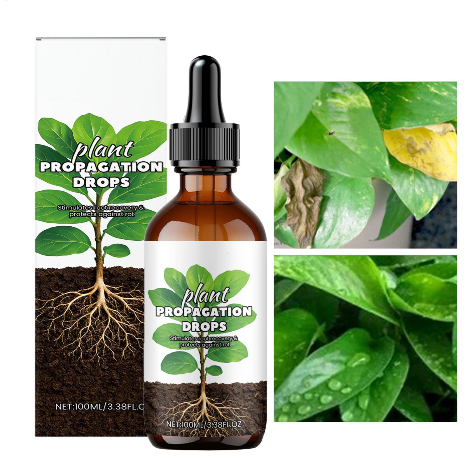 Root Booster 100ml líquido est - Root Stimulator Liquid reseña y precio