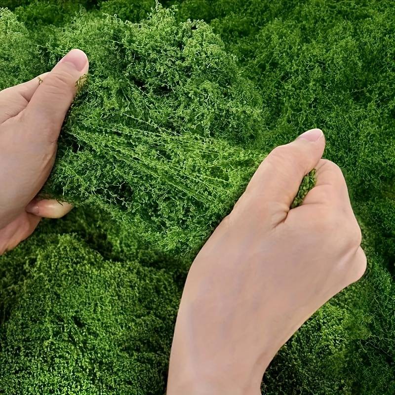 Tapete de Musgo Artificial de  - Sphagnum Moss Dry reseña y precio