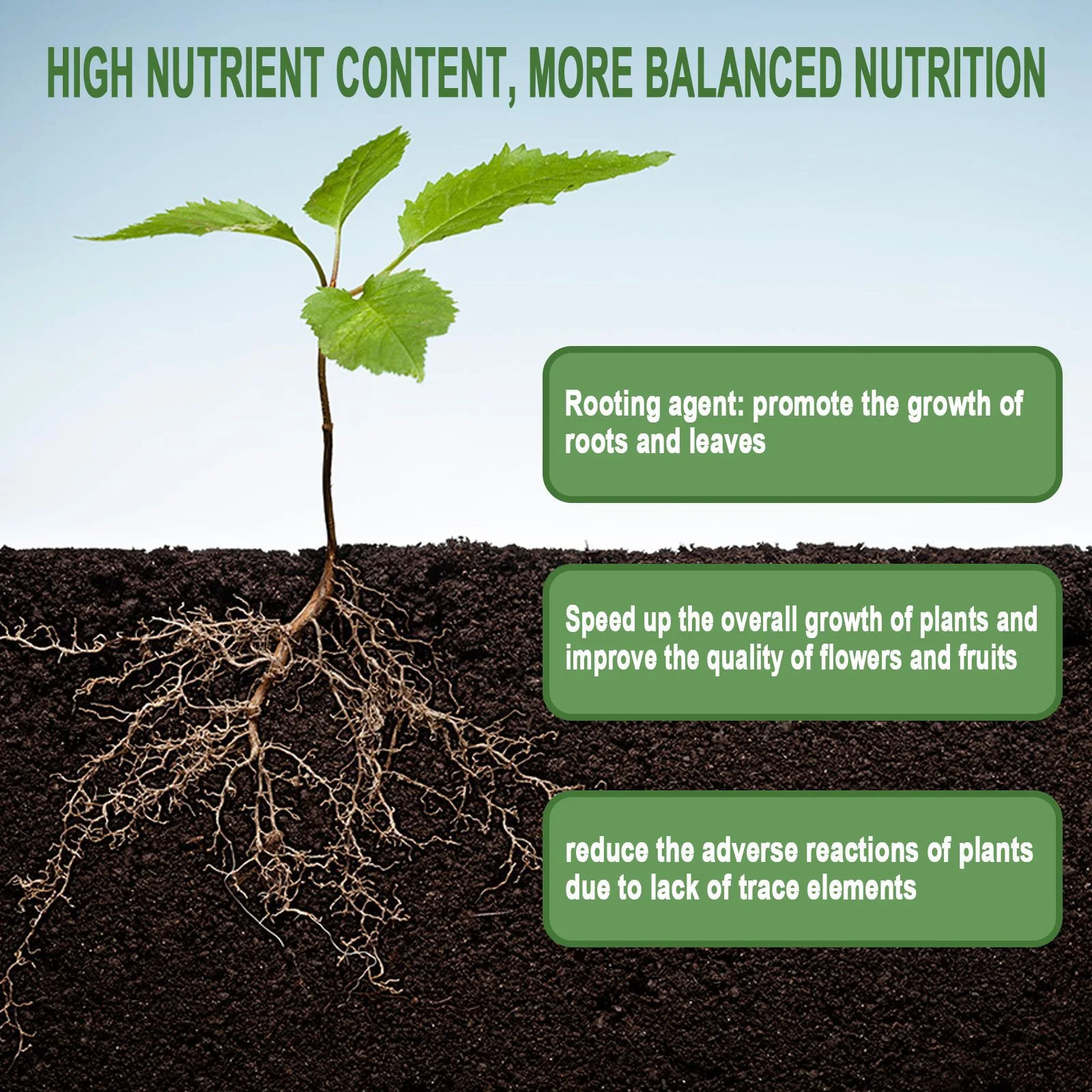 1 polvo de enraizamiento de pl - Rooting Hormone Powder reseña y precio