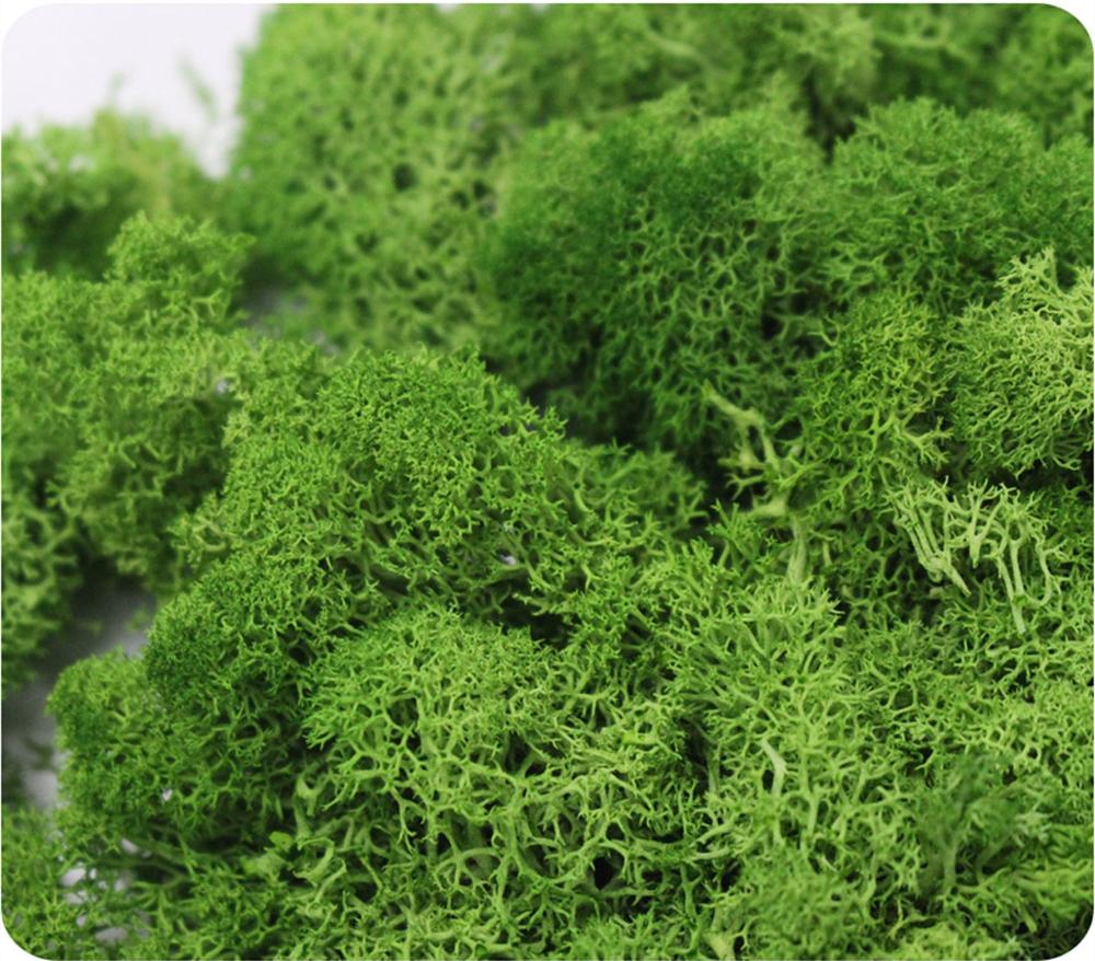 Planta Artificial de vida eter - Sphagnum Moss Dry reseña y precio