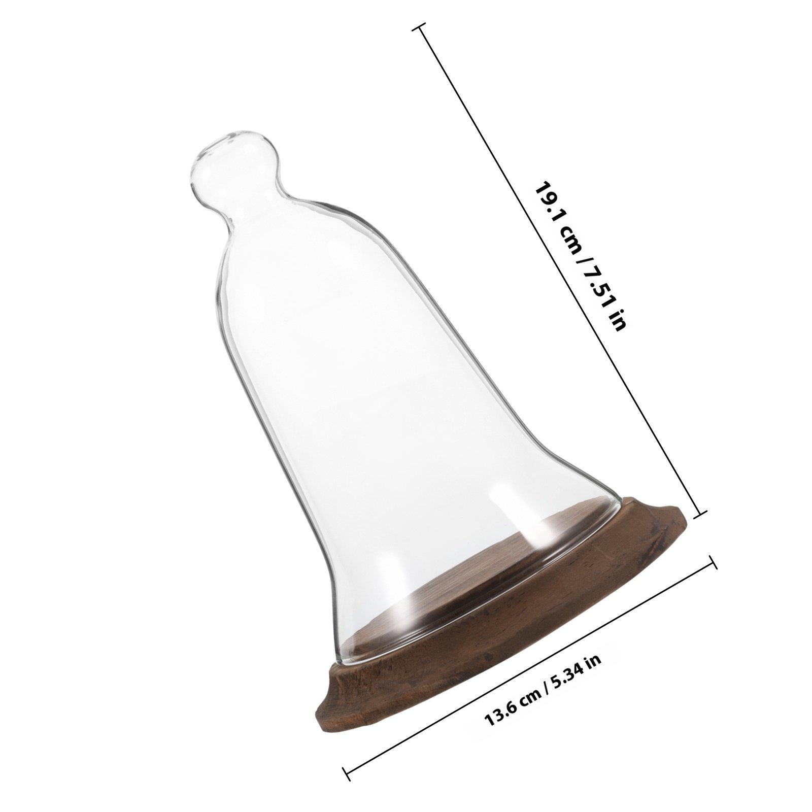 Cúpula de Cristal Transparente - Plastic Dome Clear reseña y precio