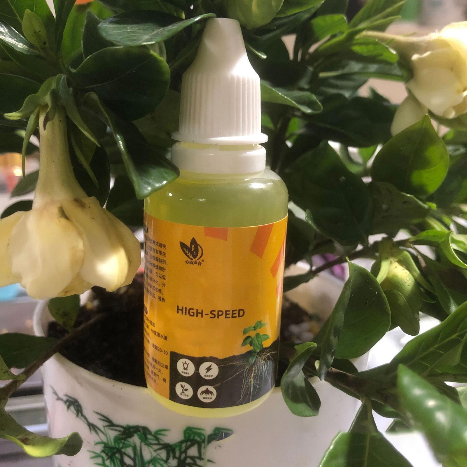 Estimulador de Enraizamiento d - Root Stimulator Liquid reseña y precio