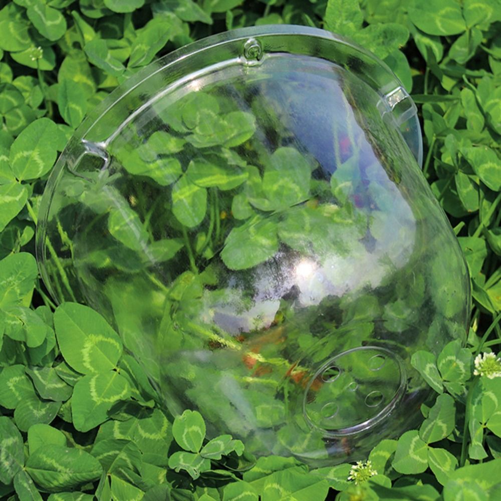 Cubierta Protectora de Plástic - Plastic Dome Clear reseña y precio