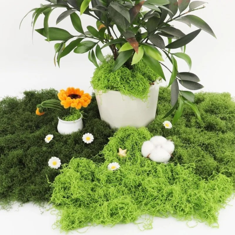 Musgo Artificial Verde, Musgo  - Sphagnum Moss Dry reseña y precio