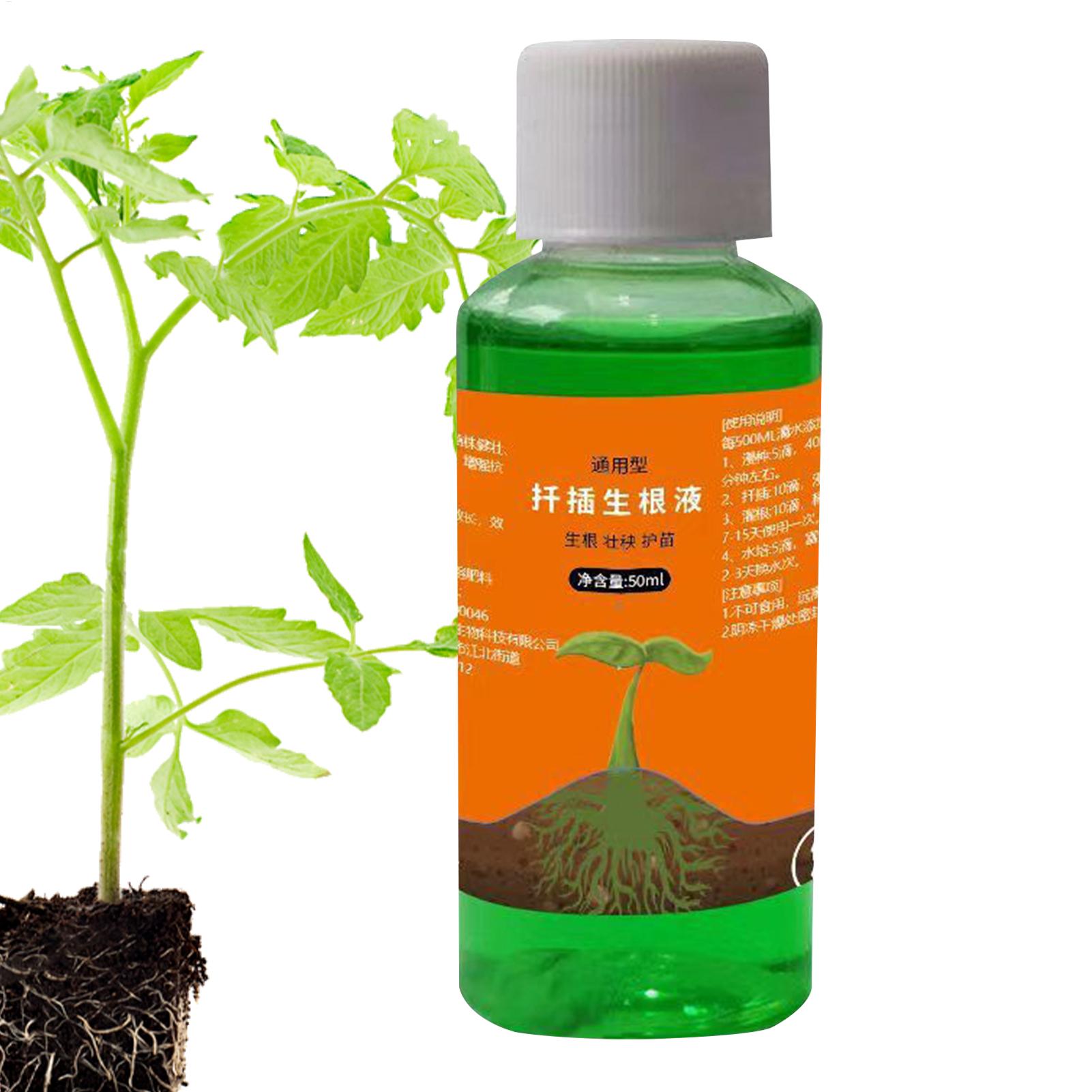 Solución nutritiva para traspl - Root Stimulator Liquid reseña y precio