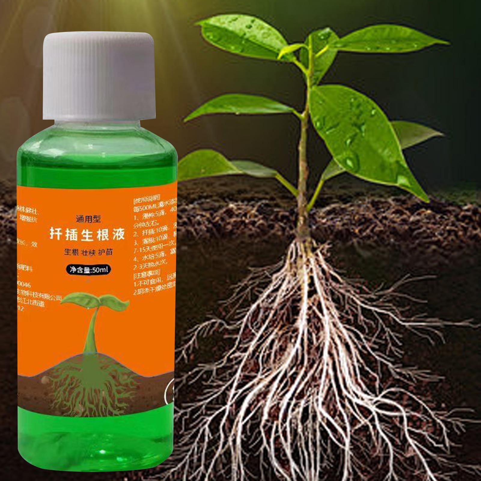 Solución nutritiva para traspl - Root Stimulator Liquid reseña y precio