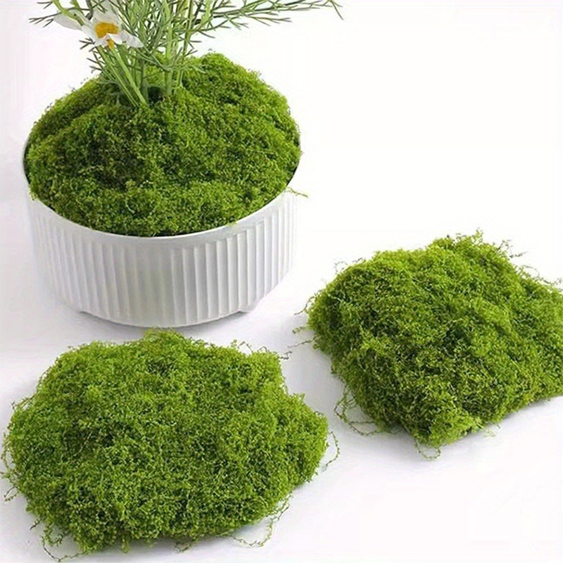 Musgo falso verde, manualidade - Sphagnum Moss Dry reseña y precio