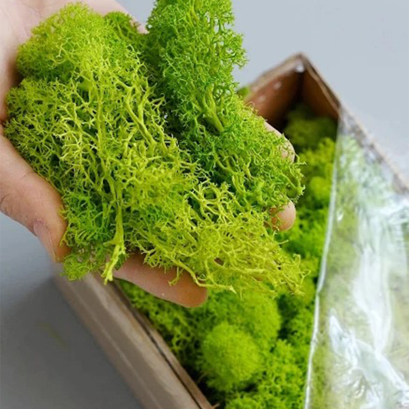 Plantas verdes artificiales, v - Sphagnum Moss Dry reseña y precio
