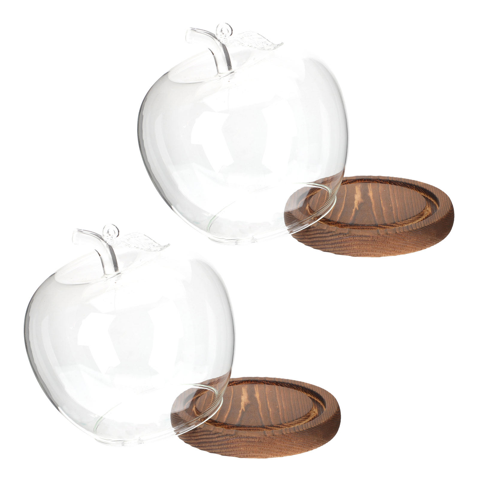 2 piezas de cúpula de cristal  - Plastic Dome Clear reseña y precio