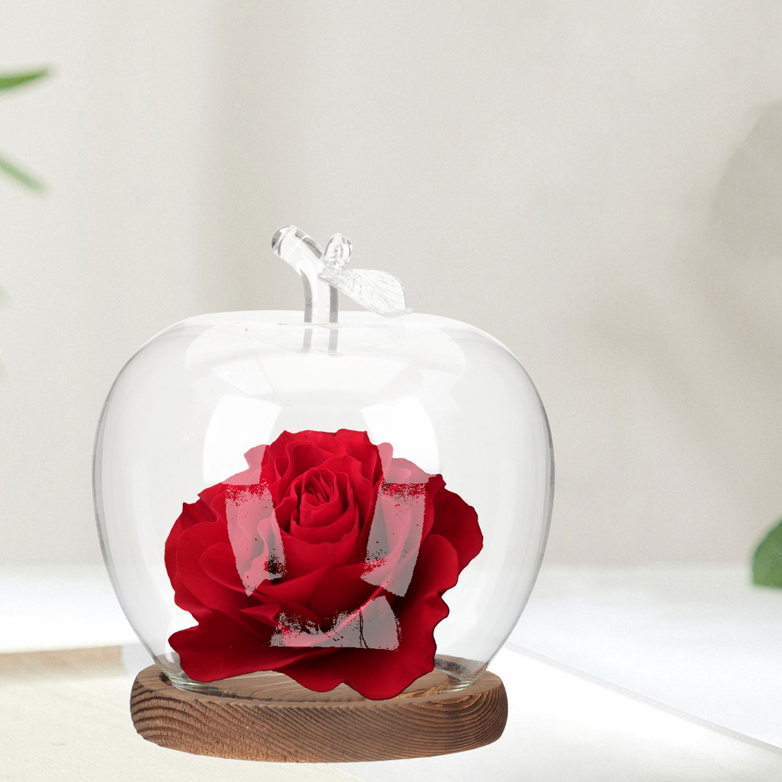 2 piezas de cúpula de cristal  - Plastic Dome Clear reseña y precio